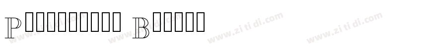 Passageway Bd字体转换